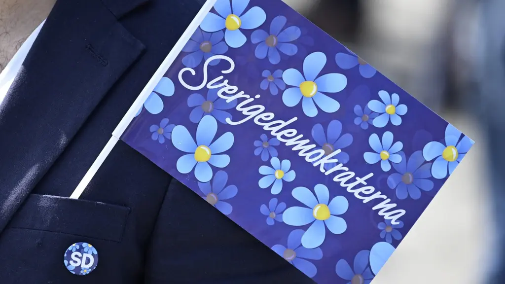 En närbild av en blå flagga med texten 'Sverigedemokraterna' och blomsterdesign i vitt och gult, instucken i en kavajficka med SD-pin.