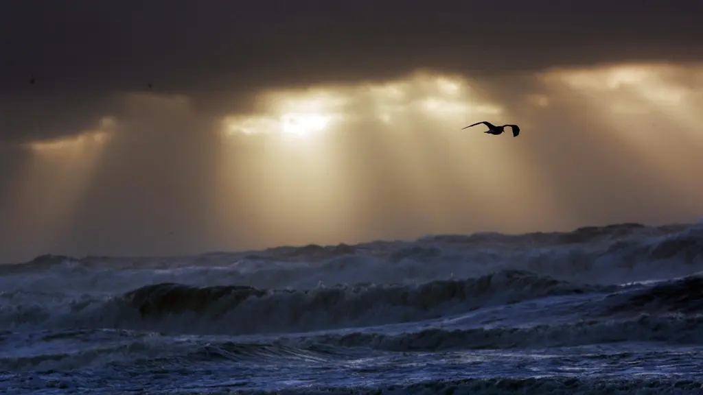 En mås flyger över vågorna vid Alabama Gulf Coast under soluppgången. Himlen är dramatisk med mörka moln och ljusstrålar som bryter igenom, medan havet är stormigt.