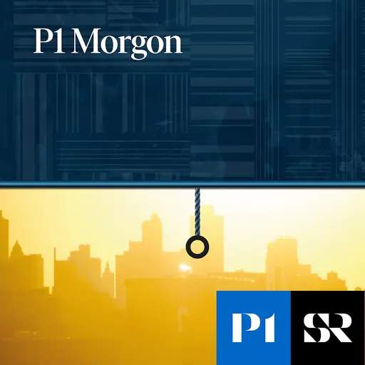 Konvolut för P1 Morgon