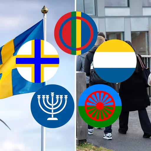 Svriges flagga, nationella minoriteter symboler och folk som promenerar