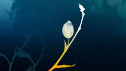 Programbild för Dagens dikt