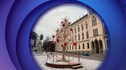 A tree in Örebro town square which was decorated with hearts this time last year in memory of the victims of the Campus Risbergska mass shooting on February 4th 2025. 