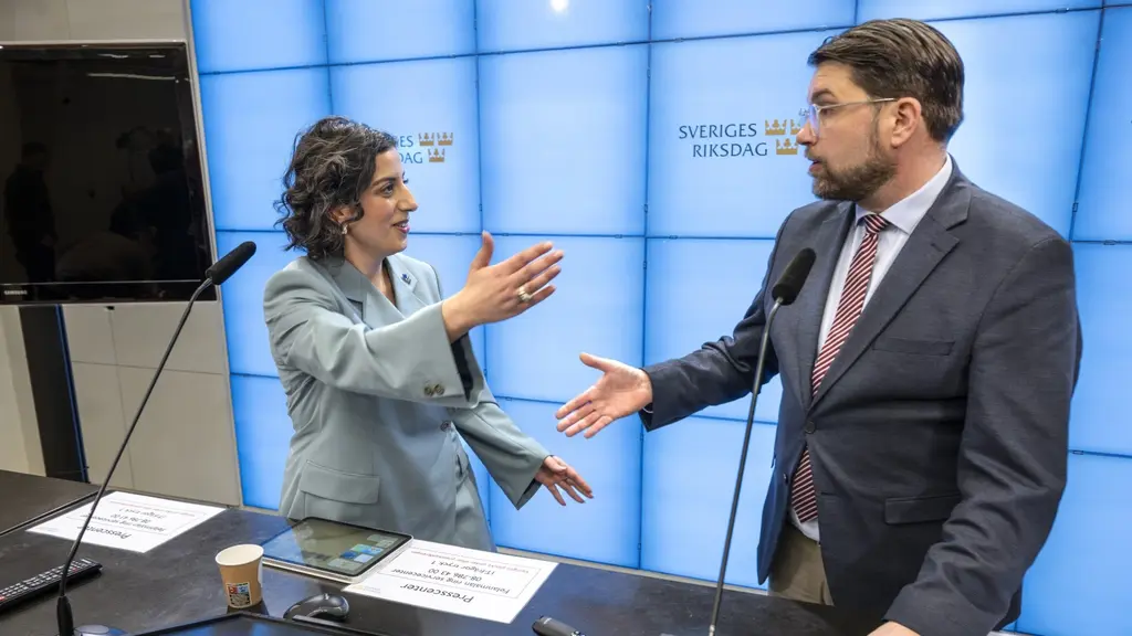Sweden Democrats deny support to the Liberals ahead of future elections