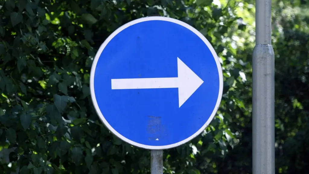 Swedish politics in transition: The role of the Social Democrats in focus
