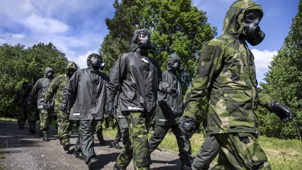 Sweden fast-tracks volunteer training for the Home Guard during the summer