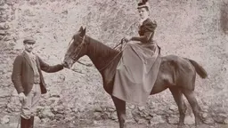 Märta von Mecklenburg