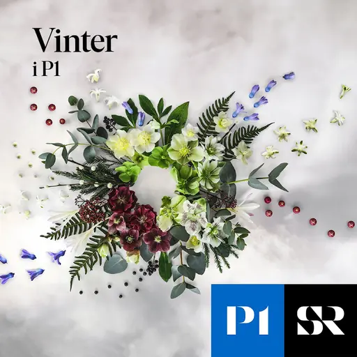 Konvolut för Sommar & Vinter i P1