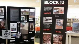 Block 13 är en utställning som Borås stad  ställer ut den 27 januari, som är Förintelsens Minnesdag, detta gör man för att ära romerna som gick igenom Holocaust. Block 13 är ett museum som finns i Auschwitz, där kan man se romernas historia under andra världskriget.