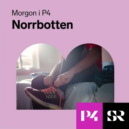 Konvolut för Morgon i P4 Norrbotten