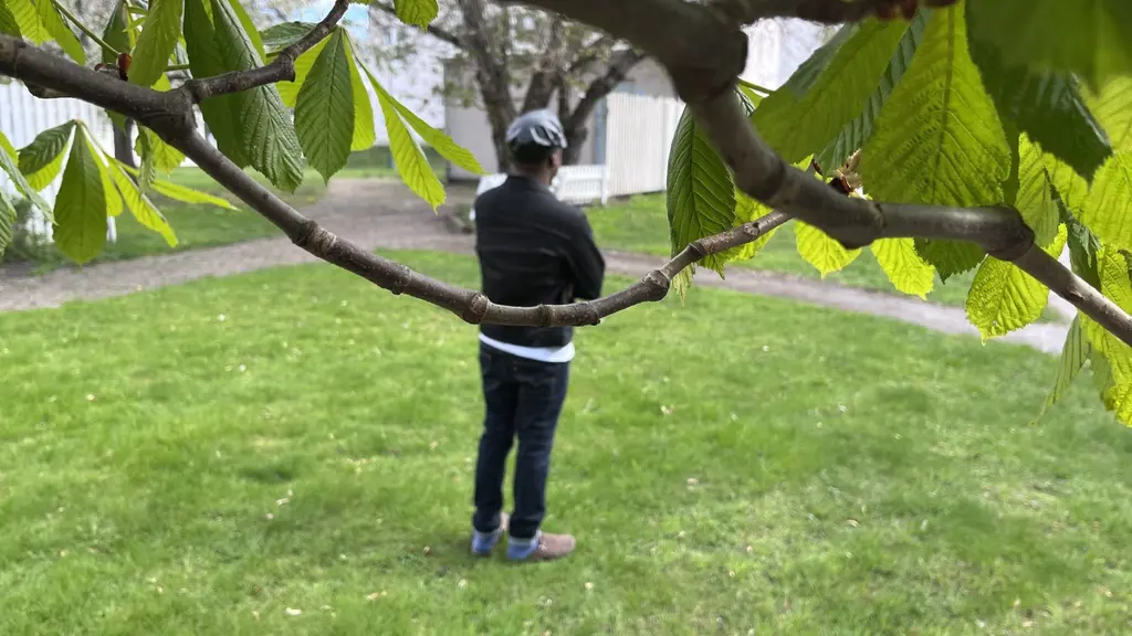Nin kaamerada ka sii jeeda isla markaan geed hor taagan. 
