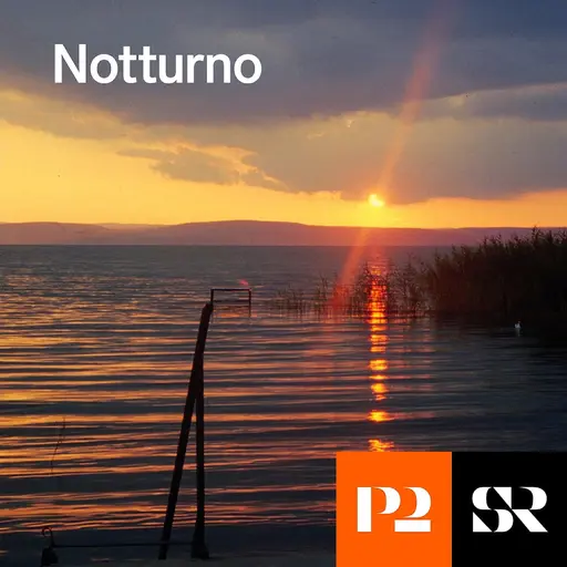 Konvolut för Notturno