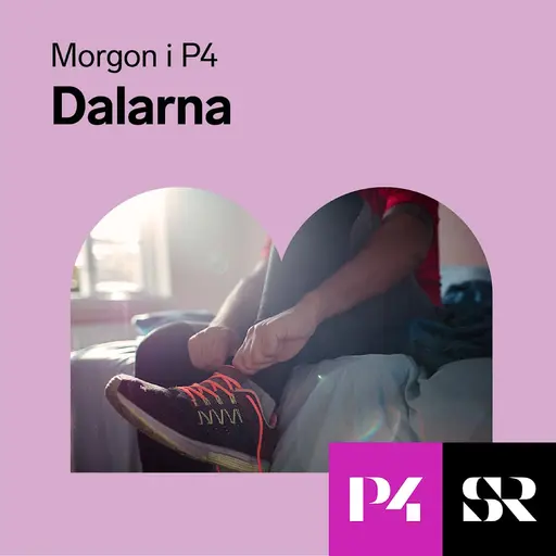 Konvolut för Morgon i P4 Dalarna