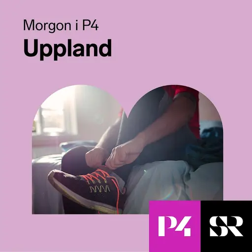 Konvolut för Morgon i P4 Uppland