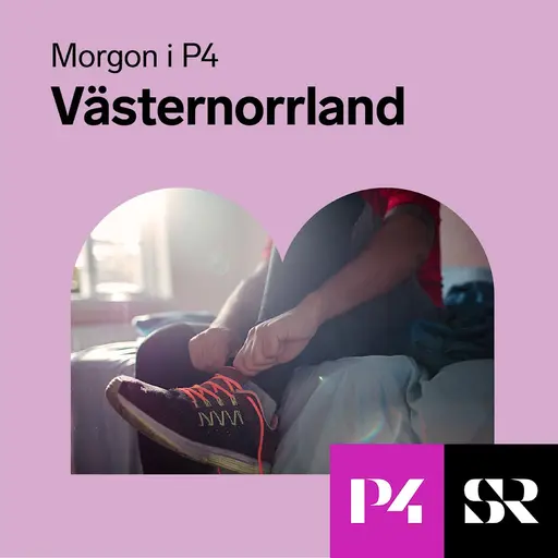Konvolut för Morgon P4 Västernorrland