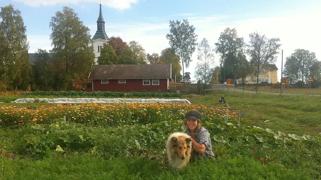 Maja Söderberg i sin åker, framför kyrkan och skolan.