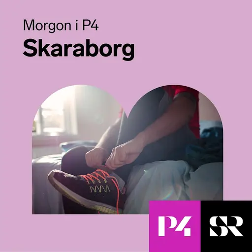 Konvolut för Morgon i P4 Skaraborg