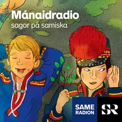 Konvolut för Mánáidrádio