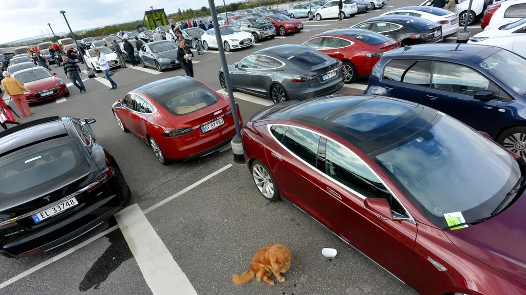 En parkeringsplats full med parkerade elbilar.