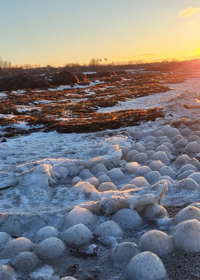 Runda isbollar ligger utspridda på stranden Ribban i Malmö. Solen går ner i bakgrunden och två personer promenerar i det frostiga landskapet.
