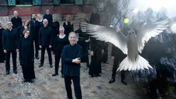 Svenska Kammarkören sjunger om fred.