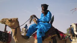 Festival au Désert, 2006 