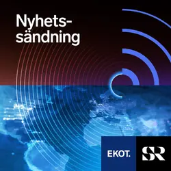 Konvolut för Ekot nyhetssändning