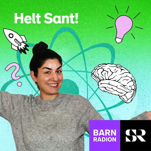 Konvolut för Helt sant i Barnradion