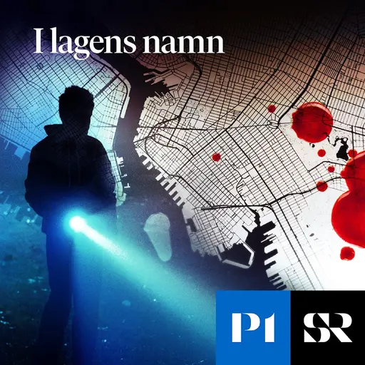 Konvolut för I lagens namn