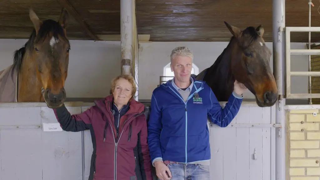 Maria Gretzer och Christian Olsson står i stallet med hingstarna Stingray och Sinclair. Tillsammans leder Christian och Maria Ridpodden för Radiosporten.