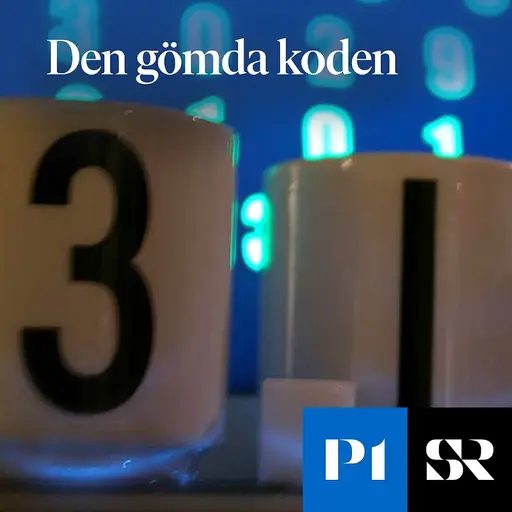 Konvolut för Den gömda koden
