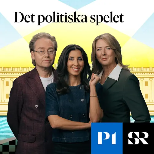 Konvolut för Det politiska spelet