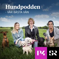 Konvolut för Hundpodden - Vår bästa vän