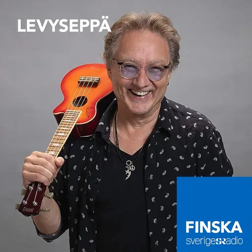 Konvolut för Levyseppä