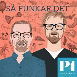 Konvolut för Så funkar det