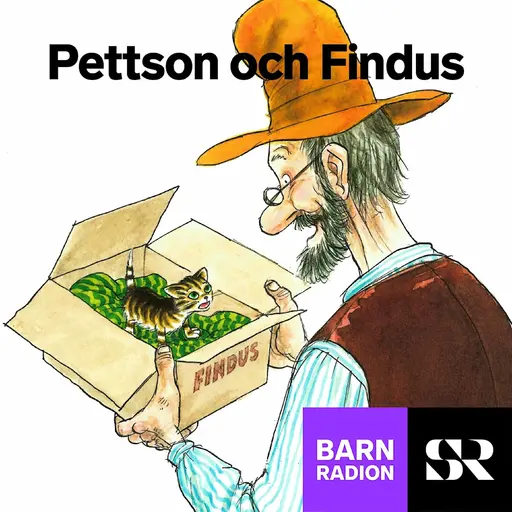 Konvolut för Pettson och Findus i Barnradion