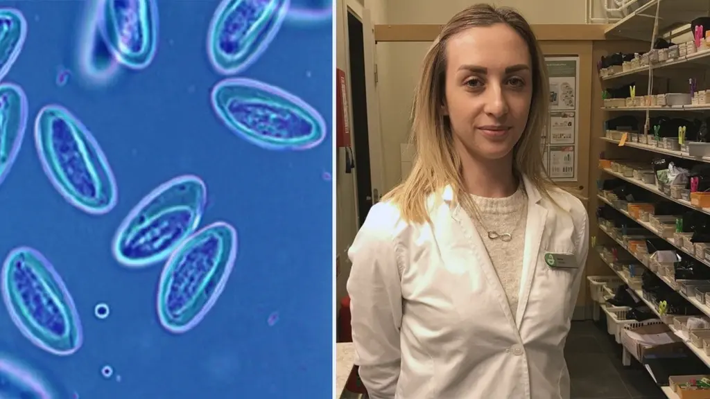 Marina Glavocevic, rådgivare på ett apoteket i Södertälje.