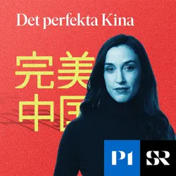 Konvolut för Det perfekta Kina
