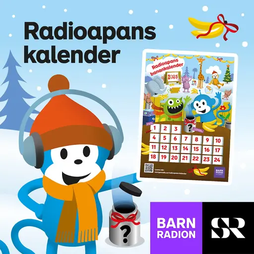 Konvolut för Radioapans kalender