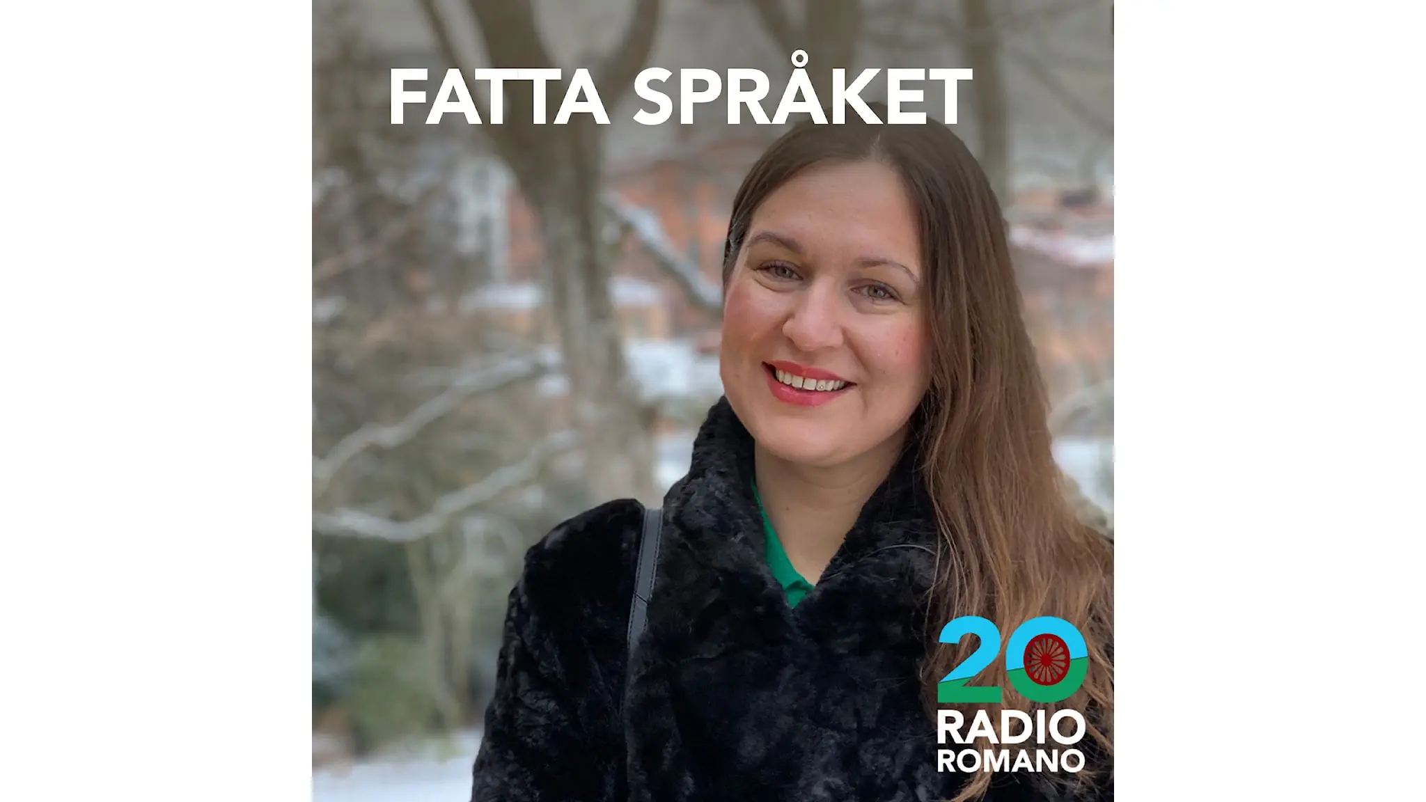 Konvolut för Fatta språket