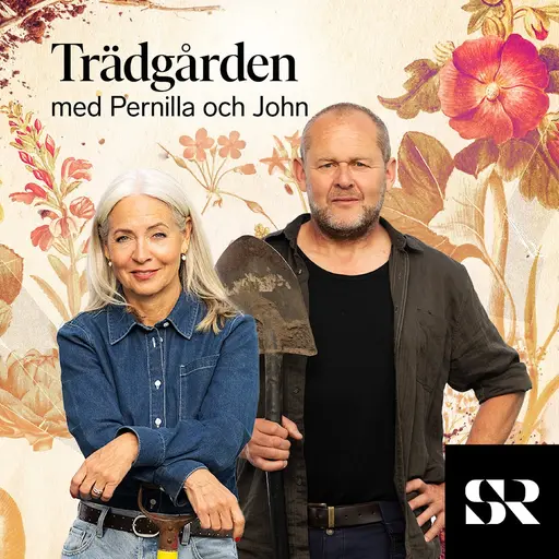 Konvolut för Trädgården med Pernilla och John