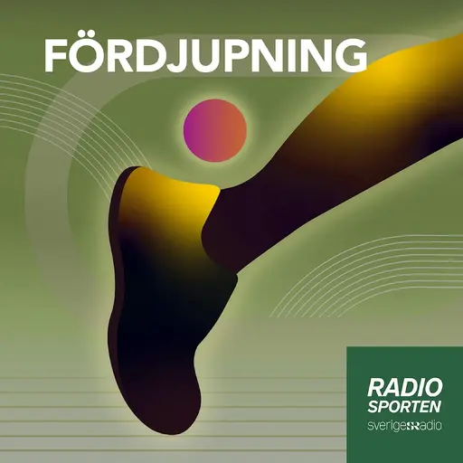 Konvolut för Radiosporten Fördjupning