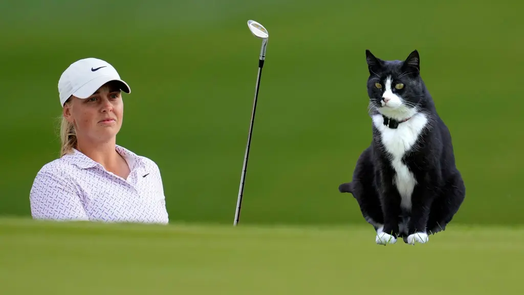 Maja Stark och katt. Foto: Ashley Landis/AP och Janerik Henriksson / TT, kollage SR