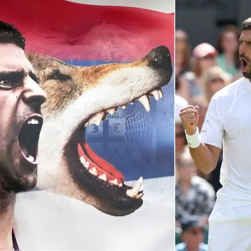 Novak Djokovic. Foto: Darko Vojinovic/AP och Adrian Dennis / AFP