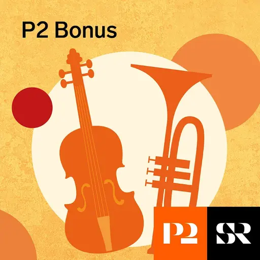 Konvolut för P2 Bonus