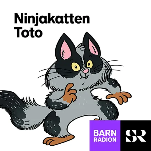 Konvolut för Ninjakatten Toto