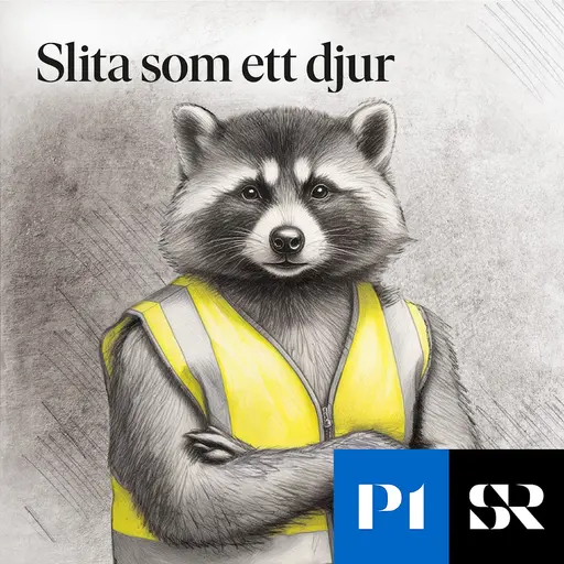 Konvolut för Slita som ett djur 