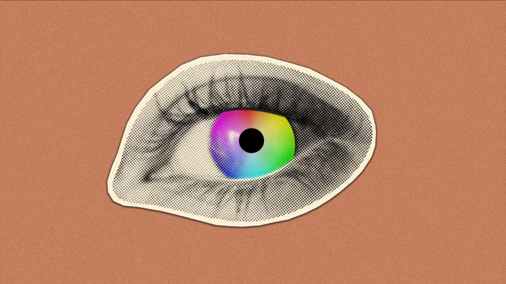 Programbild för Färgernas historia 