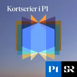 Konvolut för Kortserier i P1