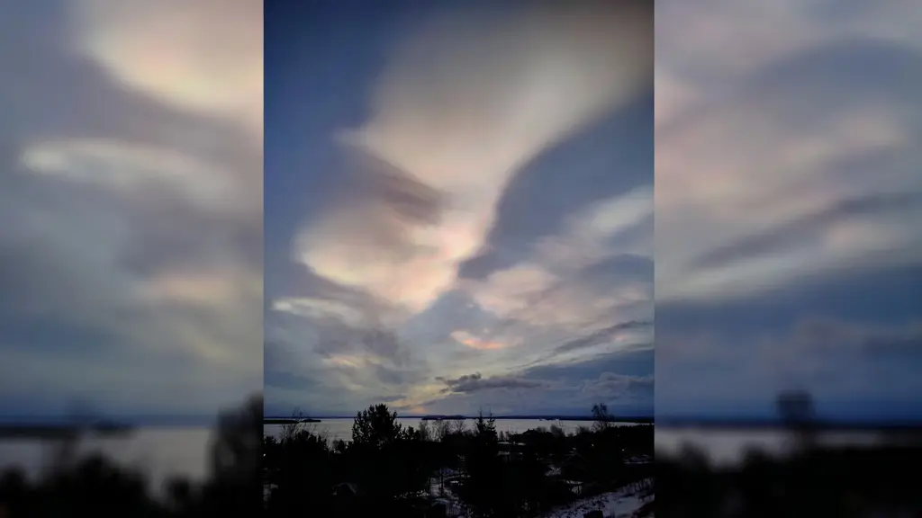 en bild på pärlemormoln en tidig morgon över en sjö men träd i förgrunden i botten av bilden.