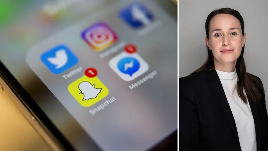 Kammaråklagare Moa Grahn leder utredningen kring den man i 20-årsålder från Luleå som står åtalad för en lång rad sexualbrott.